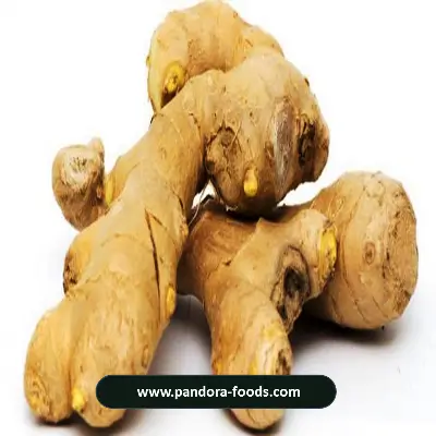 الزنجبيل