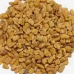 حلبة