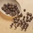 كبابة صيني